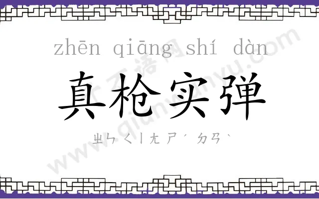 真枪实弹 真枪实弹