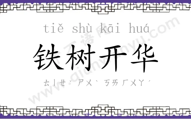 铁树开华 铁树开华