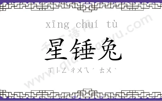 星锤兔 星锤兔