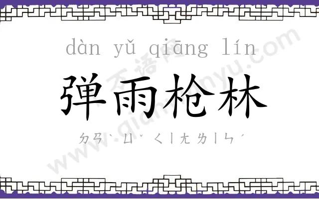 弹雨枪林 弹雨枪林