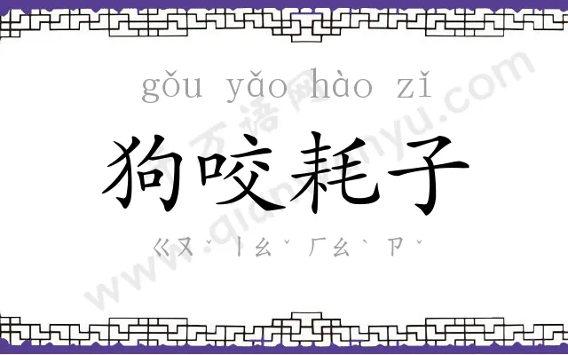 狗咬耗子 狗咬耗子