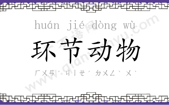 环节动物 环节动物