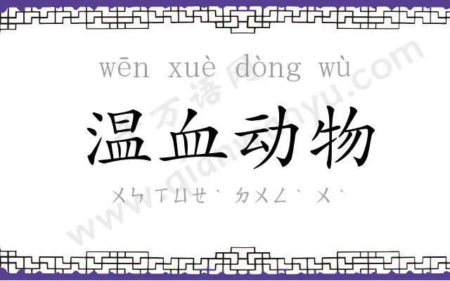 温血动物 温血动物