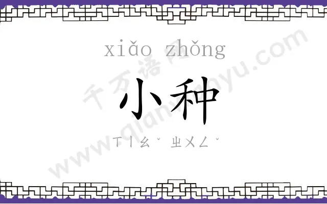 小种