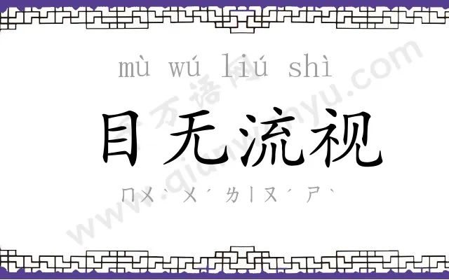 目无流视 目无流视