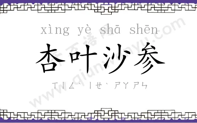 杏叶沙参 杏叶沙参