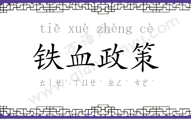 铁血政策 铁血政策