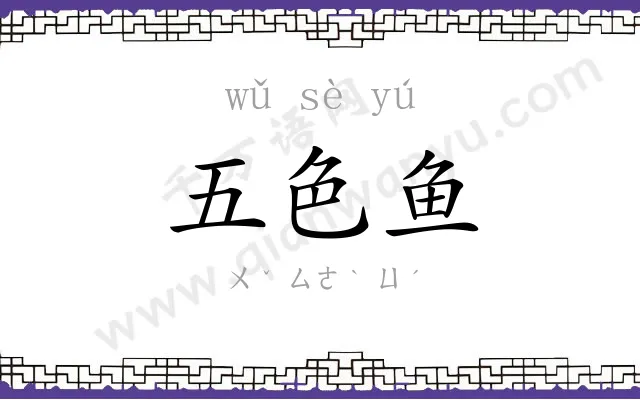 五色鱼 五色鱼