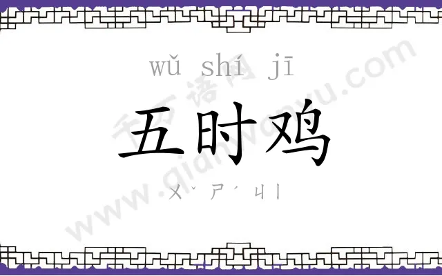 五时鸡