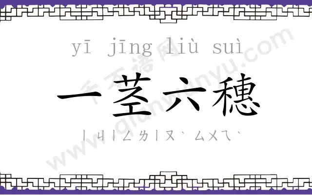 一茎六穗 一茎六穗