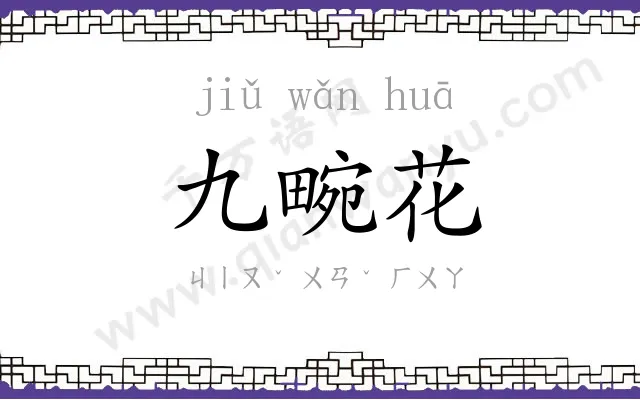 九畹花 九畹花