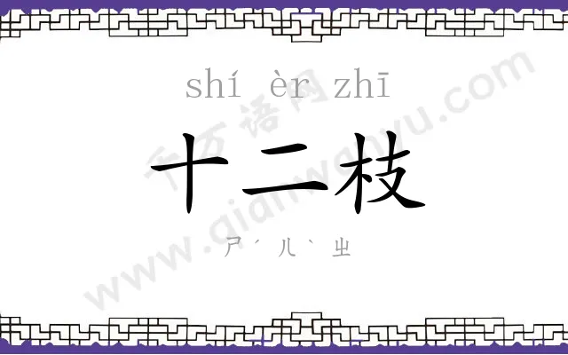 十二枝 十二枝