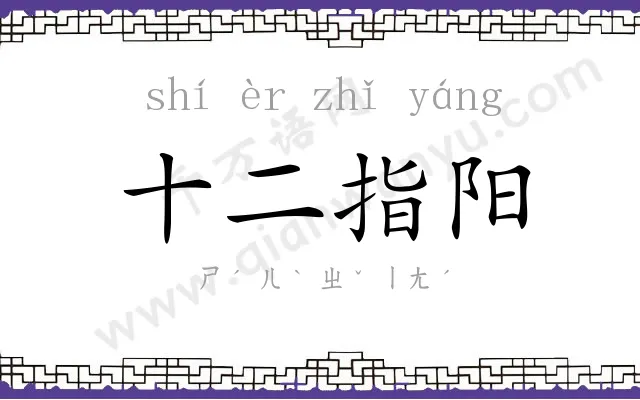 十二指阳 十二指阳