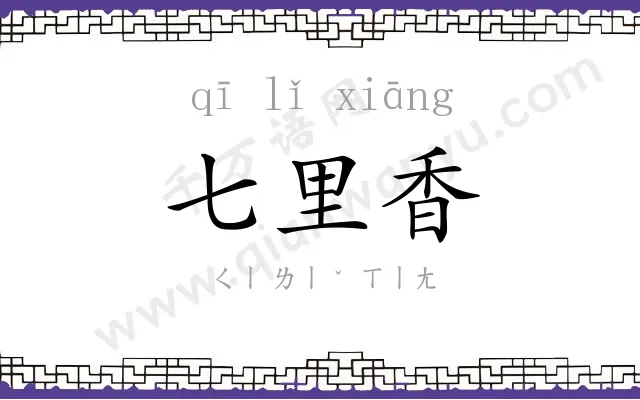 七里香 七里香