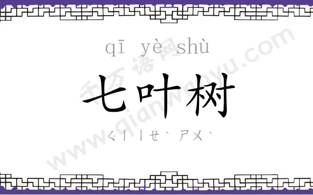七叶树 七叶树