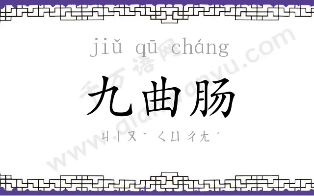 九曲肠 九曲肠