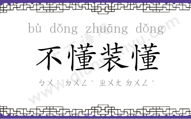 不懂装懂 不懂装懂