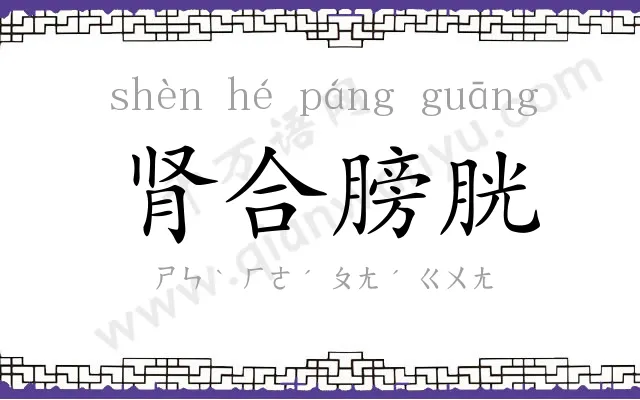 肾合膀胱 肾合膀胱