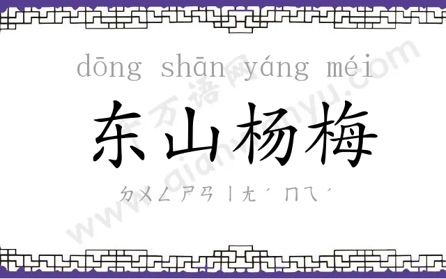 东山杨梅 东山杨梅