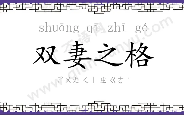 双妻之格 双妻之格