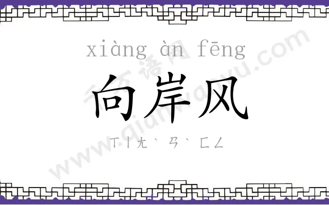 向岸风 向岸风