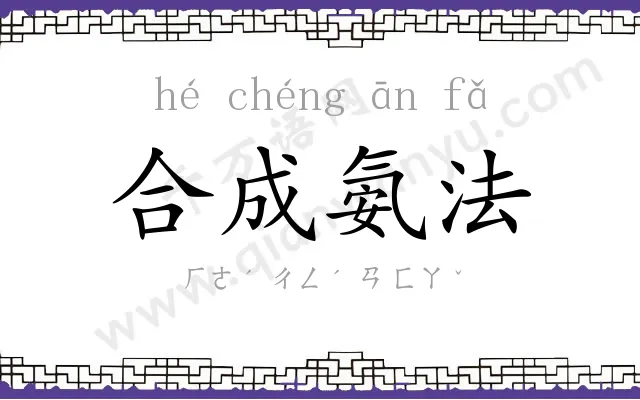 合成氨法 合成氨法