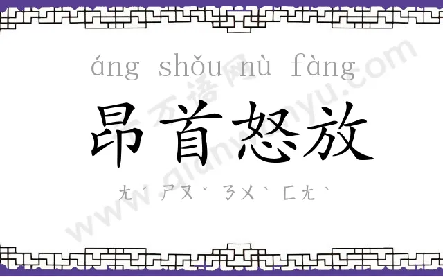 昂首怒放 昂首怒放