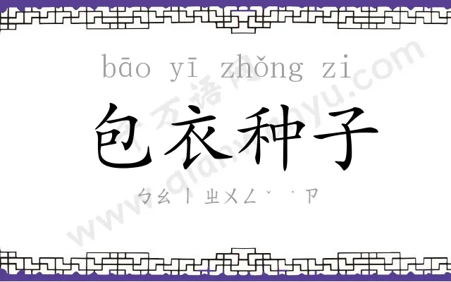 包衣种子 包衣种子