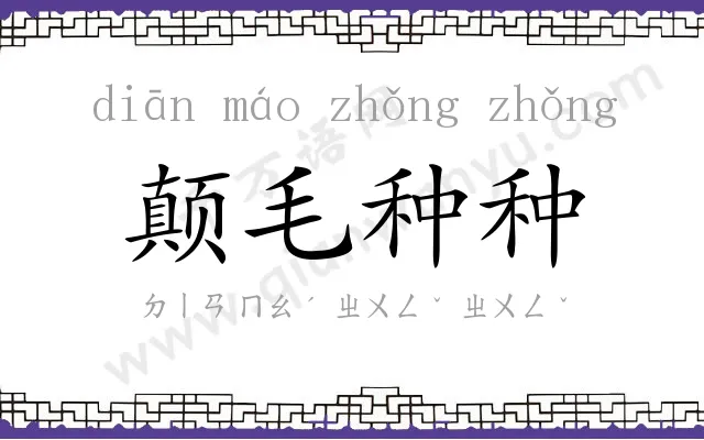 颠毛种种 颠毛种种