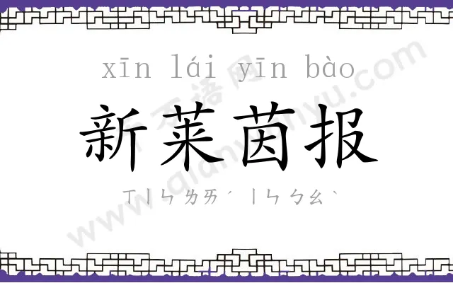 新莱茵报 新莱茵报