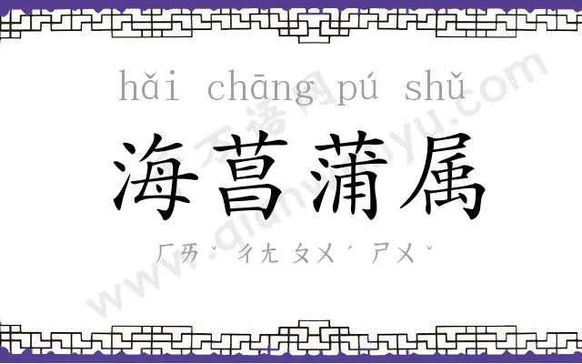 海菖蒲属 海菖蒲属