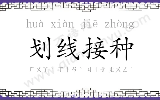 划线接种 划线接种