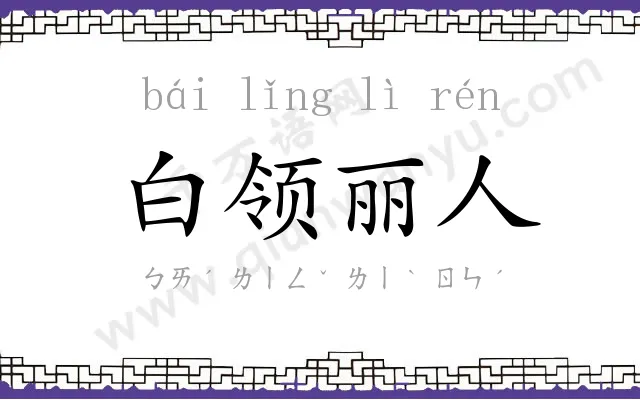 白领丽人 白领丽人