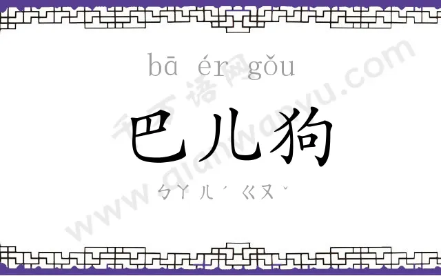 巴儿狗 巴儿狗