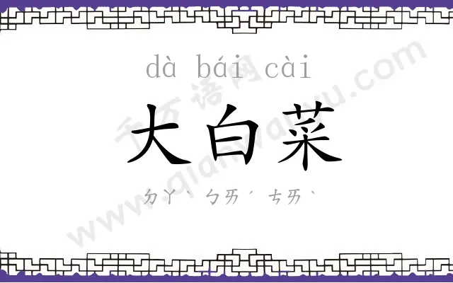 大白菜 大白菜