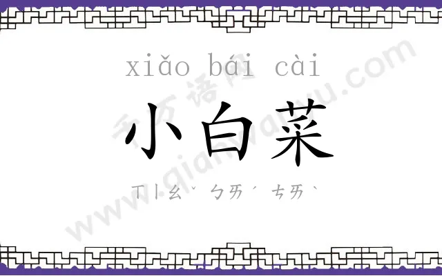 小白菜 小白菜