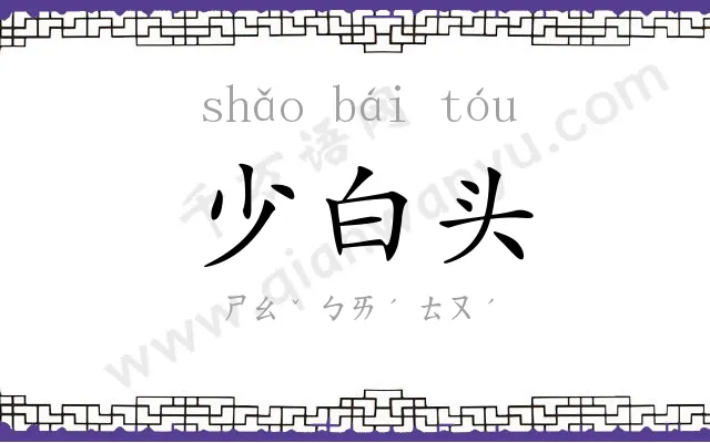 少白头 少白头