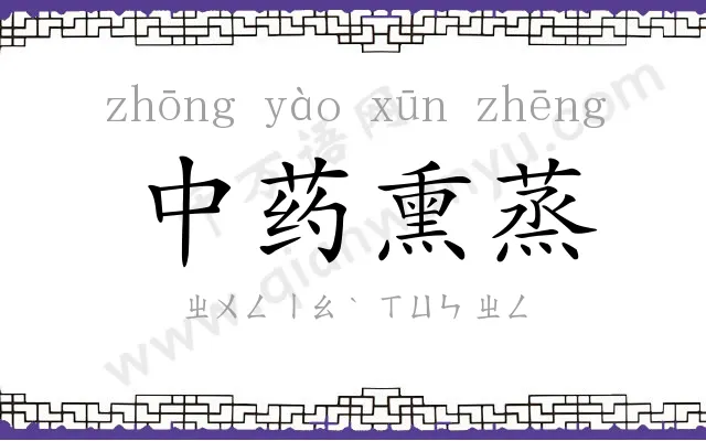 中药熏蒸 中药熏蒸