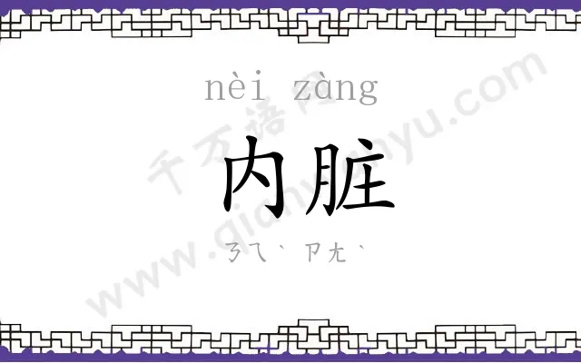 内脏 内脏