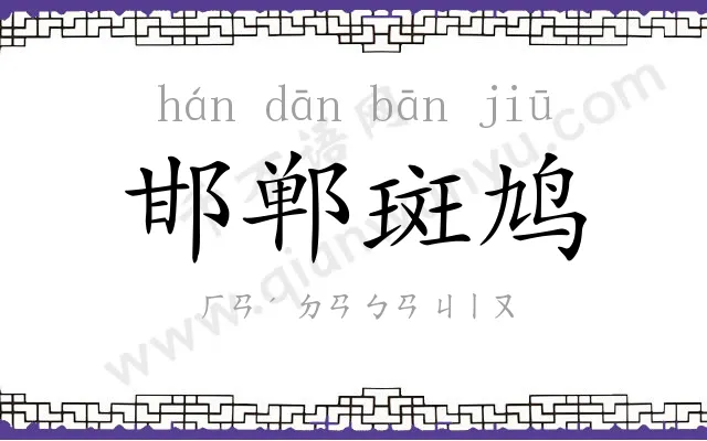 邯郸斑鸠 邯郸斑鸠