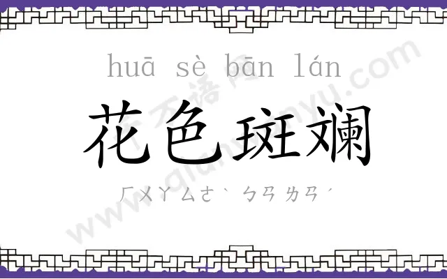 花色斑斓 花色斑斓