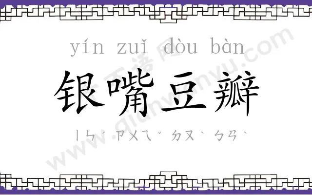 银嘴豆瓣 银嘴豆瓣