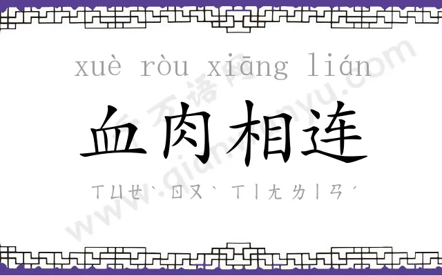 血肉相连 血肉相连