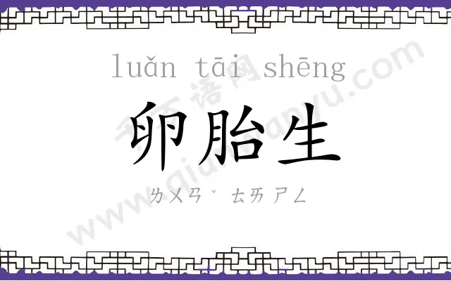 卵胎生 卵胎生