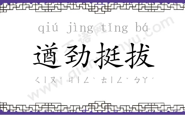 遒劲挺拔 遒劲挺拔