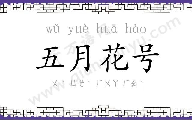 五月花号 五月花号