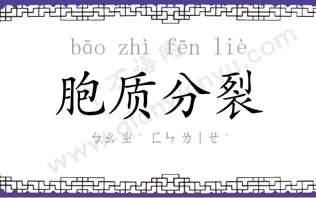 胞质分裂 胞质分裂