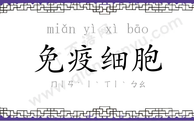 免疫细胞 免疫细胞