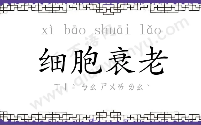 细胞衰老 细胞衰老