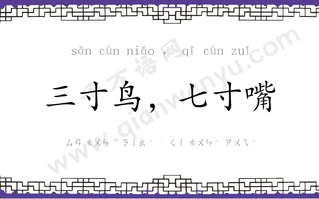 三寸鸟,七寸嘴 三寸鸟,七寸嘴